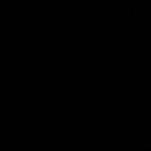 Meet your Posher, Layan